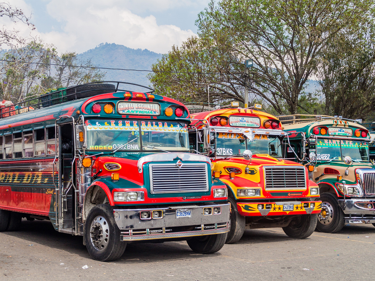 A row of colorful chicken buses in Antigua, Guatemala.