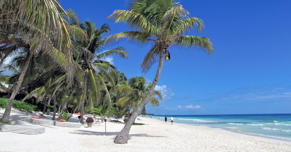 white sand beach with palm trees in Tulum