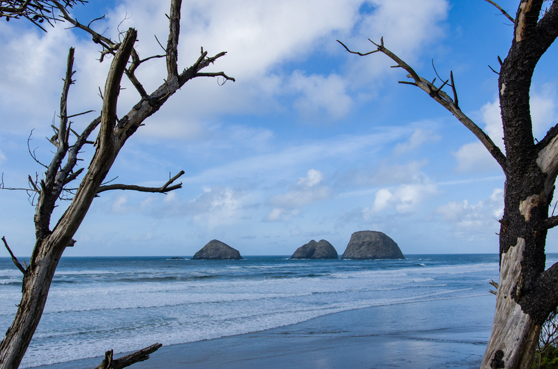 Image of rock formations in ocean with two trees in foreground