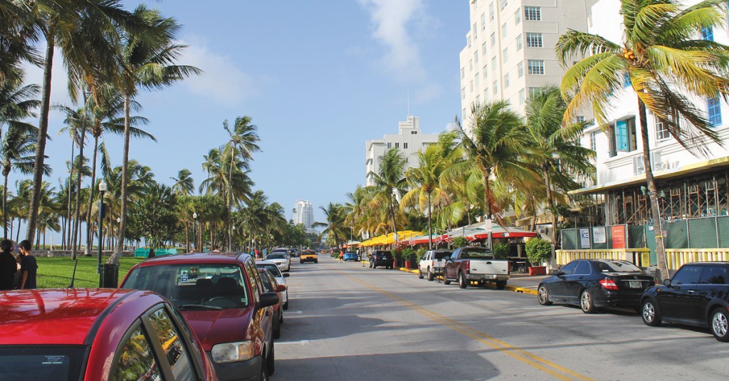 palm-tree lined street in Miami