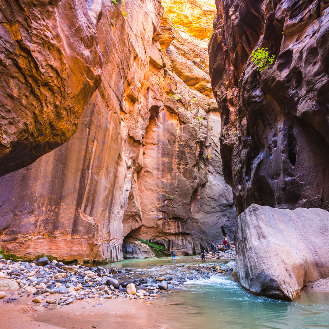 shallow green water running through red canyons