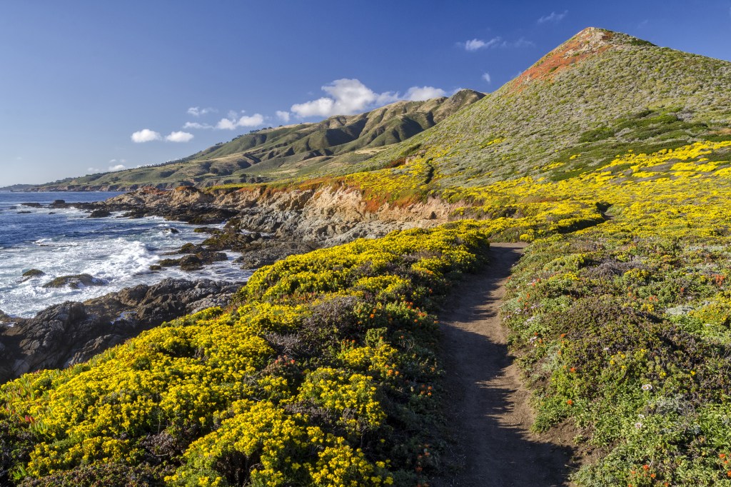 Big Sur hiking trail and coastal view