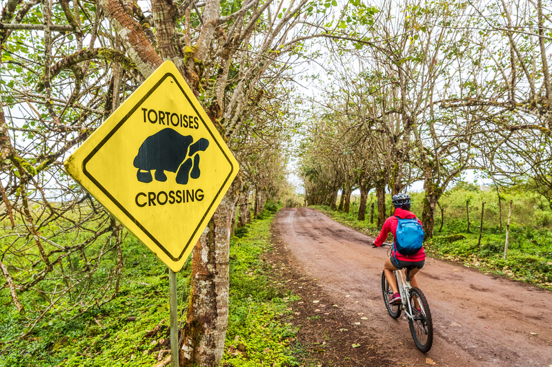 A woman bikes down a dirt path and a sign that says Tortoises Crossing