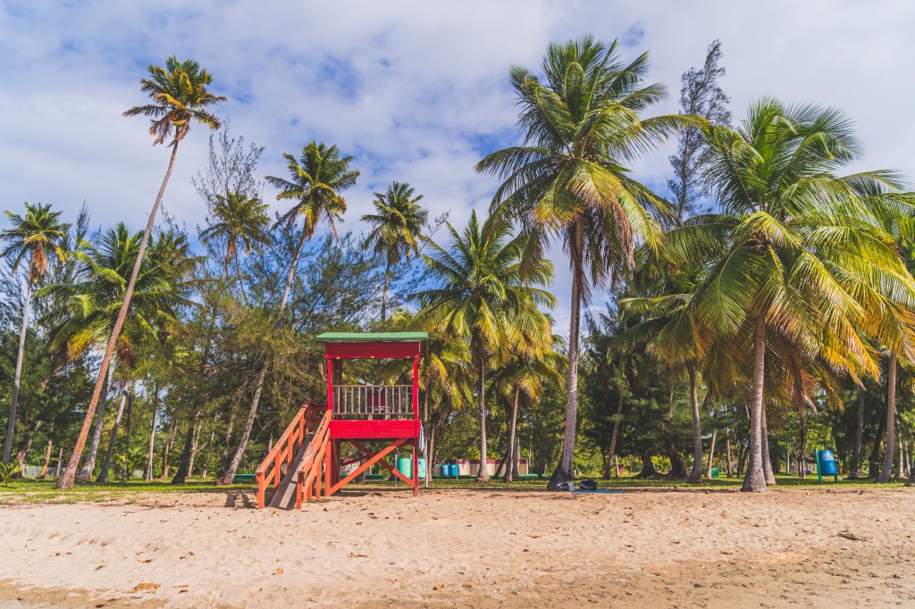 A red lifeguard hut on a beach lined with bright green palm trees.