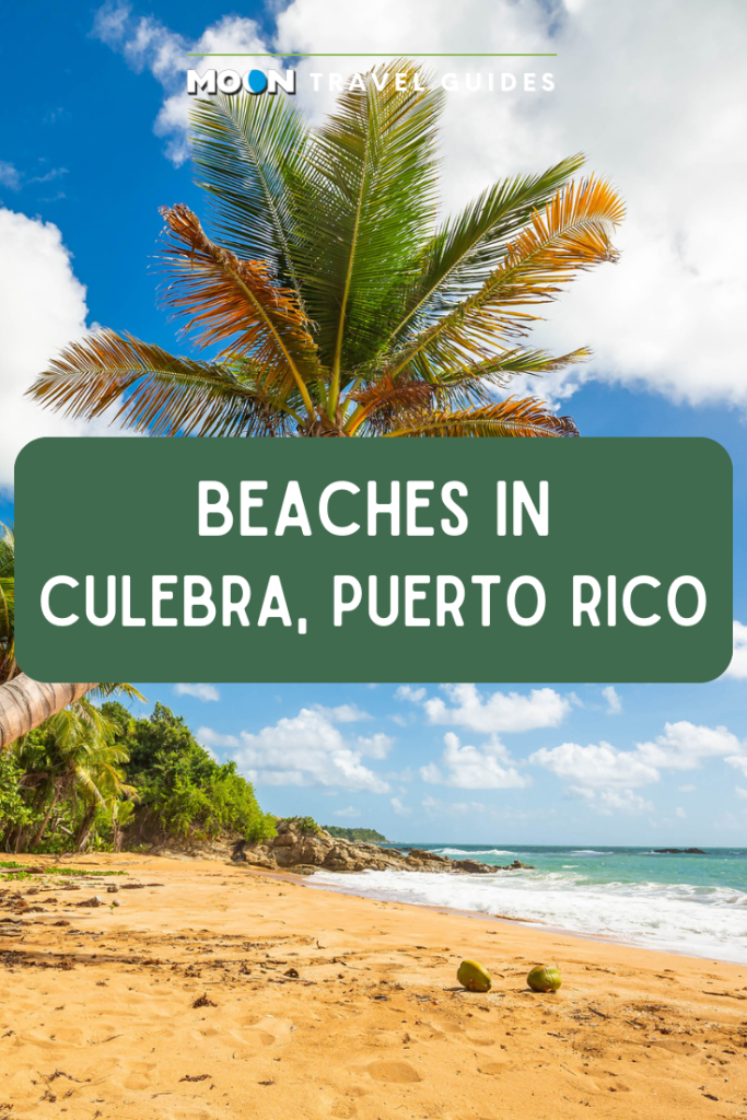 Picture of palm tree on beach with text Beaches in Culebra, Puerto Rico