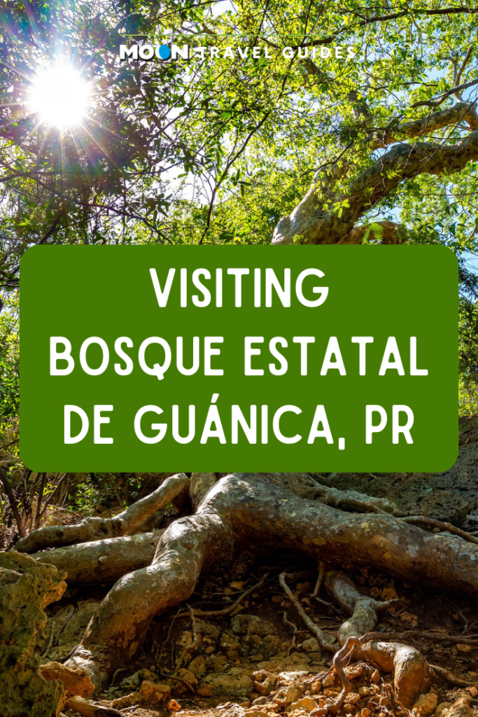 Picture of forest with text Visiting Bosque Estatal de Guanica, PR