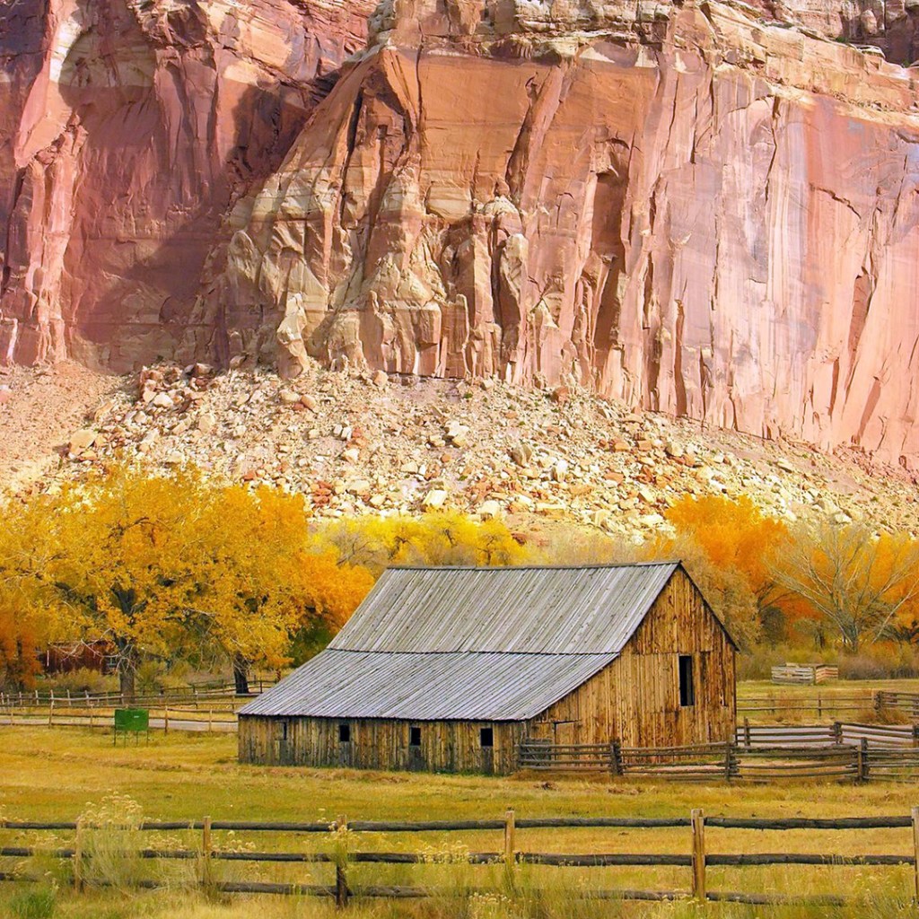 The barn of the pioneer Gifford Farmhouse in Capitol Reef