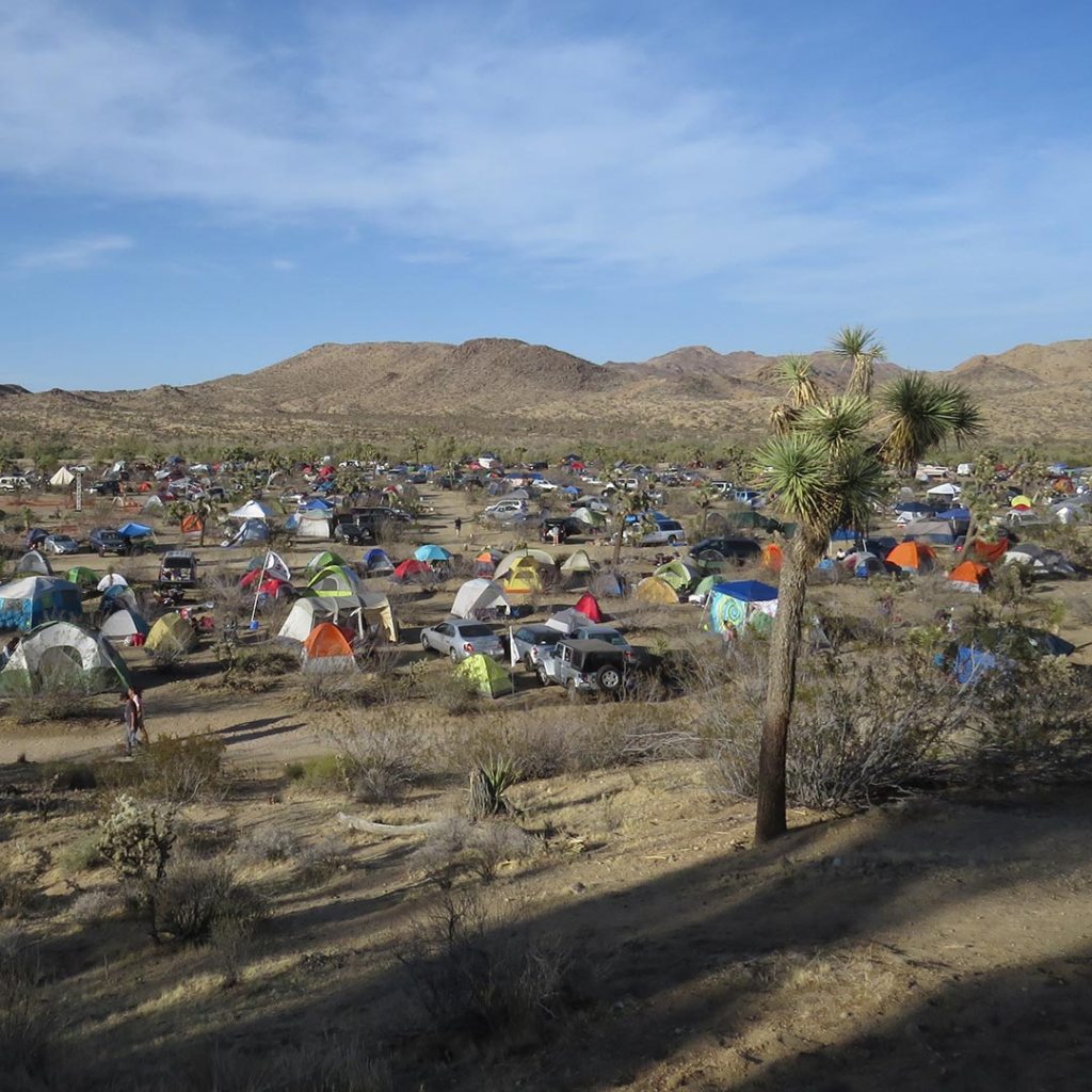 Tents in Joshua Tree for the Desert Daze festival