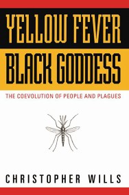 Yellow Fever, Black Goddess