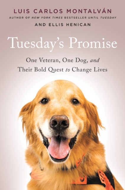 Tuesday's Promise