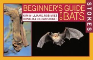 Stokes Beginner's Guide to Bats