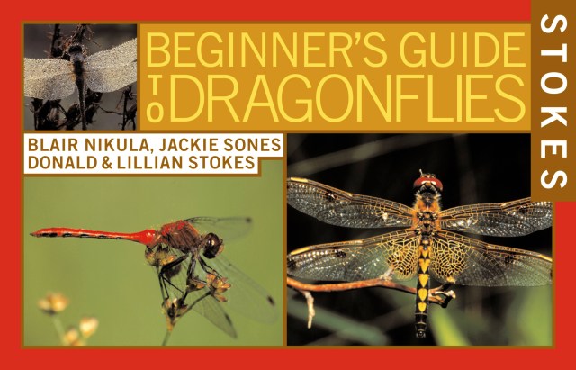 Stokes Beginner's Guide to Dragonflies