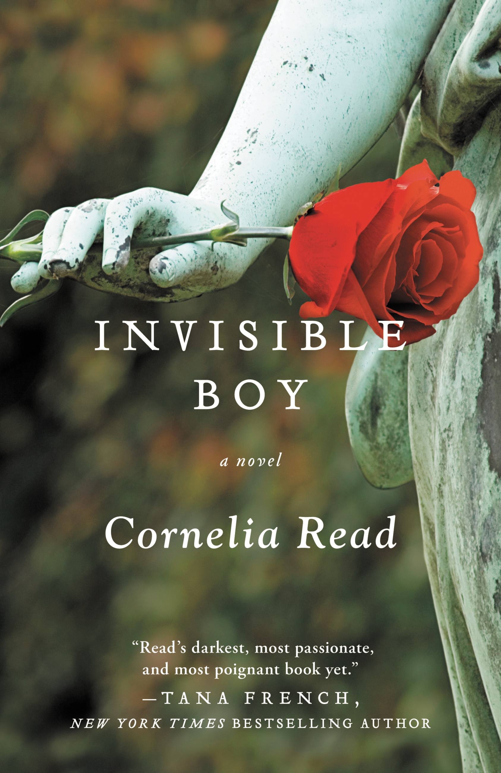 The Invisible boy. The Invincible boy. This book yet