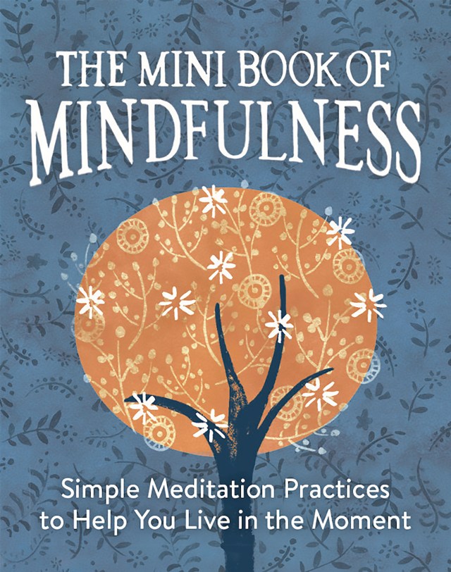Zen Garden Litter Box: A Little Piece of Mindfulness [Book]