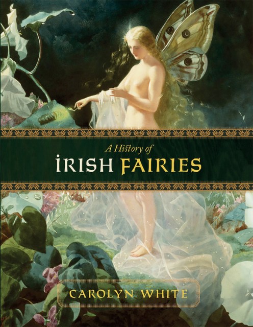 A History of Irish Fairies