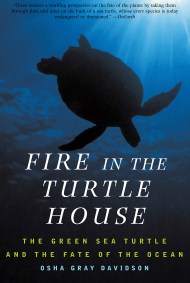 Fire In The Turtle House