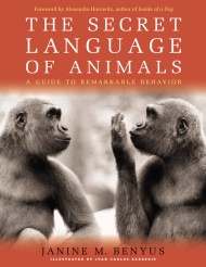 Secret Language of Animals