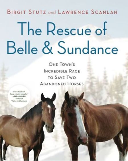 The Rescue Of Belle And Sundance By Birgit Stutz