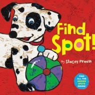 Find Spot!