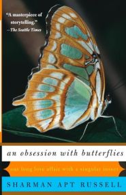 An Obsession With Butterflies