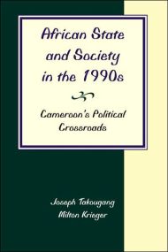 African State And Society In The 1990s