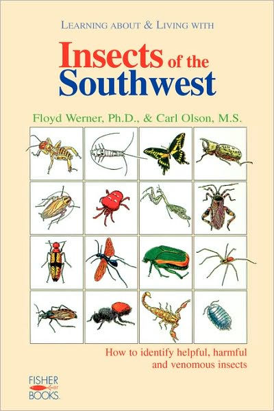 Insects Of The Southwest