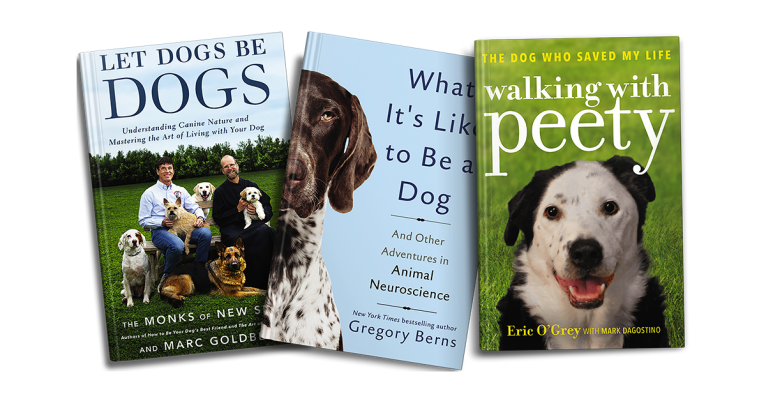 Featured Image Dog Book Gift List