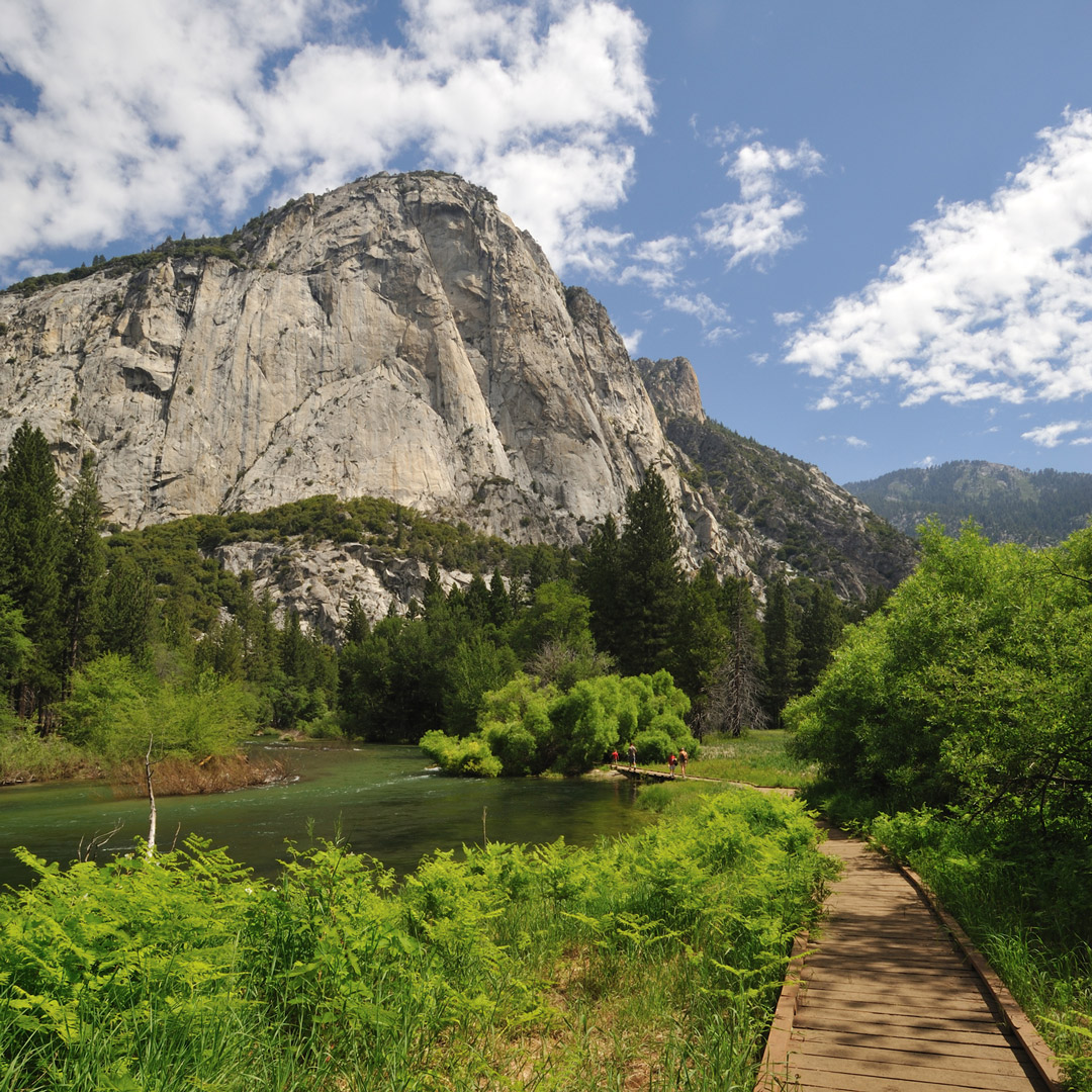 a boardwalk in kings canyon leading through a meadow with a granite landform in the distance