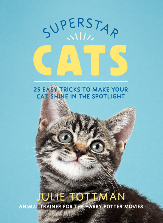Superstar Cats by Julie Tottman | Hachette Book Group