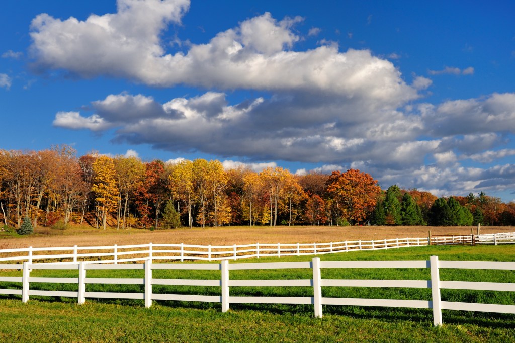 Autumn trees under white fluffy clouds with a green field and white picket fence in the foreground.