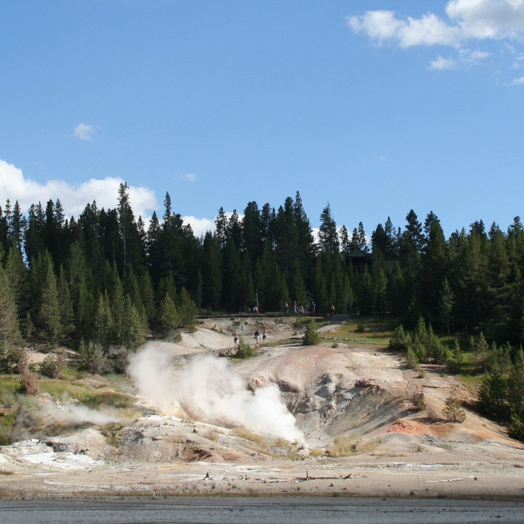 a steaming caldera on a wooded hillside