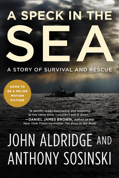 A Speck in the Sea by John Aldridge