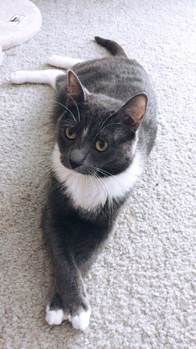 Canaan Byrd - Harriet