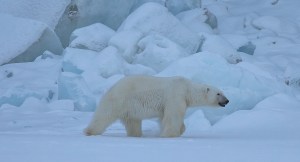 victor-benard-522756-unsplash-featured