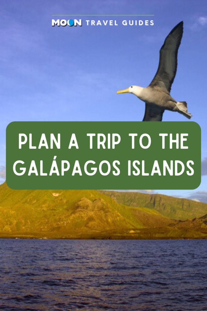 Picture of albatross and island with text reading Plan a Trip to the Galapagos Islands