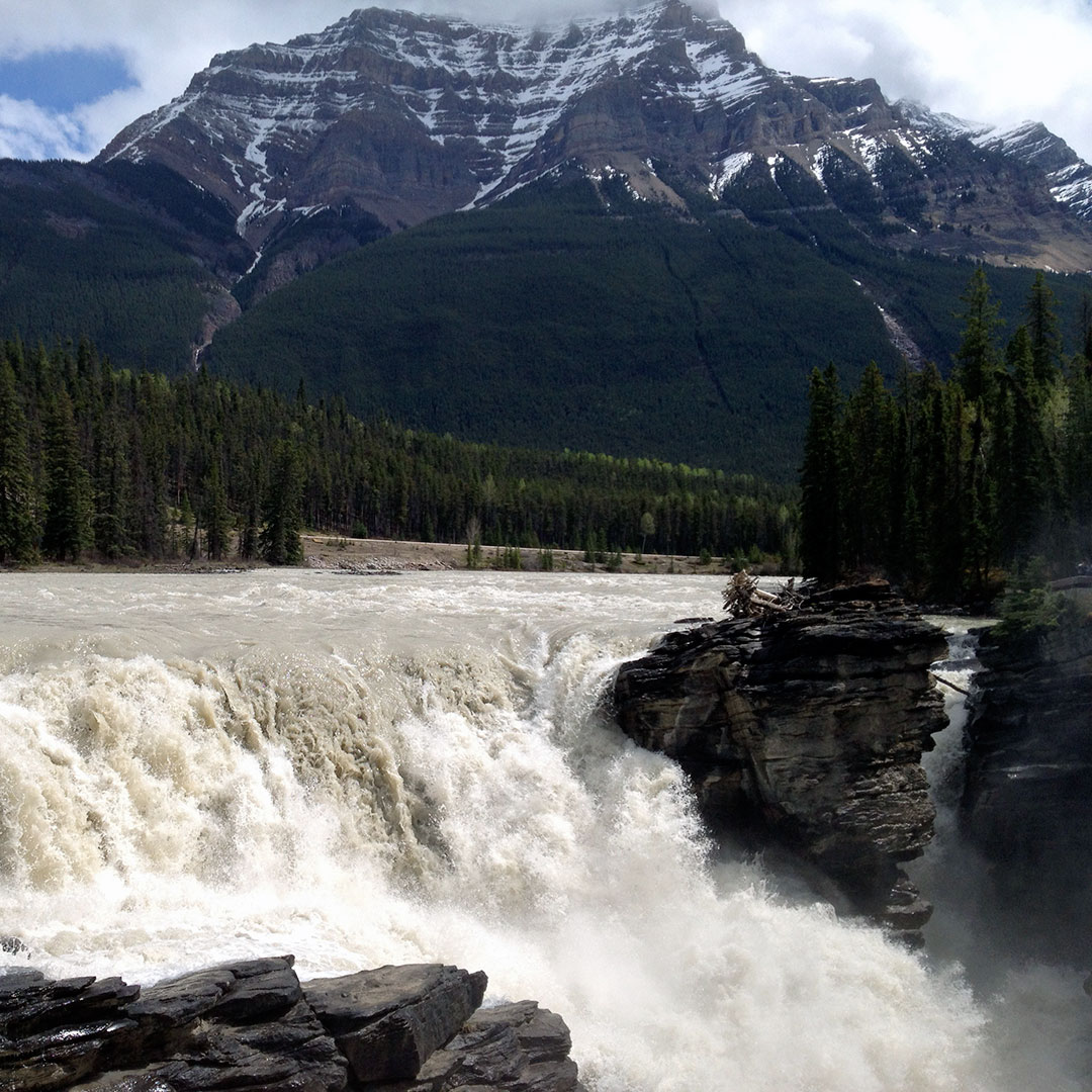 Athabasca Falls in Jasper National Park.