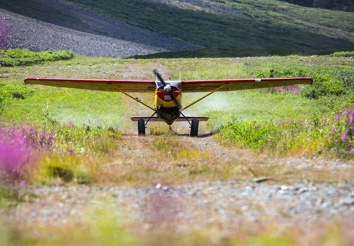 An Alaskan bush plane readies for takeoff in a grassy field.