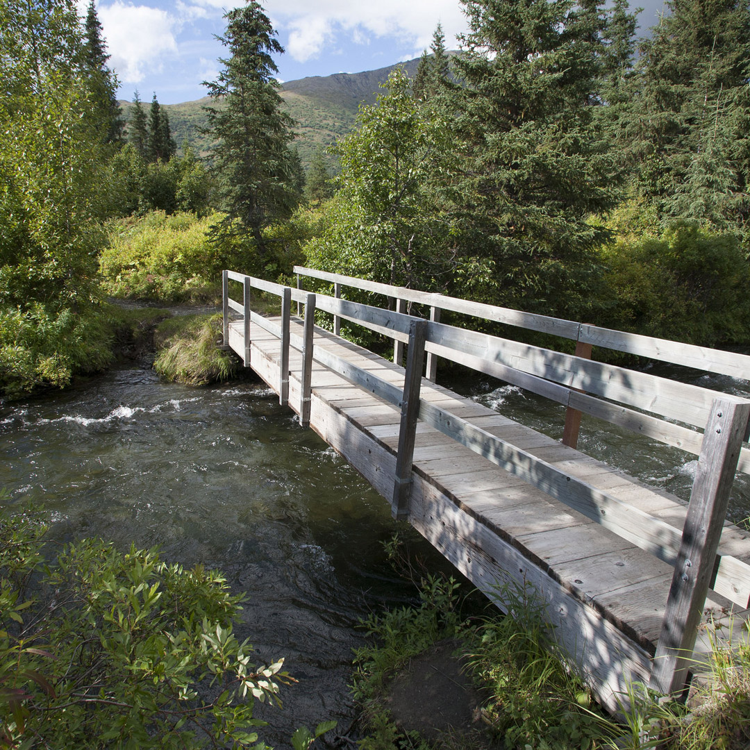 bridge over a creek in Alaska