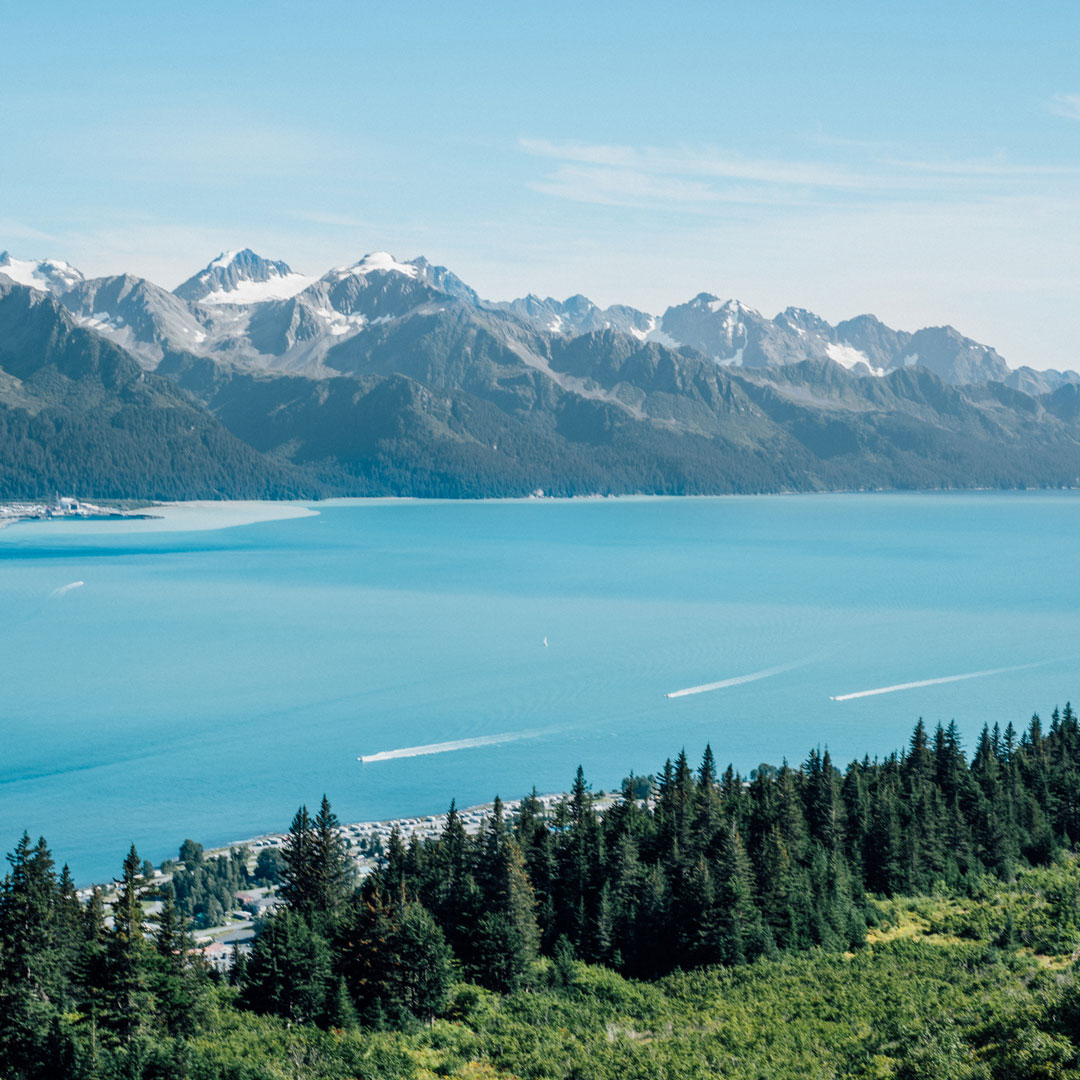 View of Resurrection Bay with Three Boats Coming in to Harbor