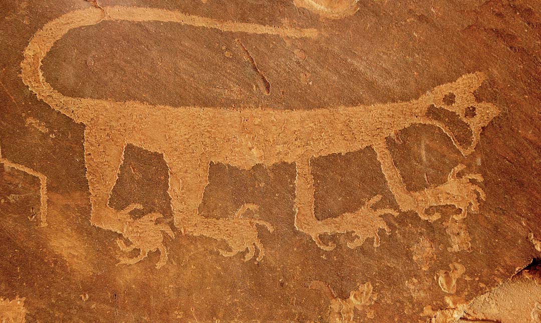 Mountain Lion petroglyph on display at the Painted Desert Inn Visitor Center.