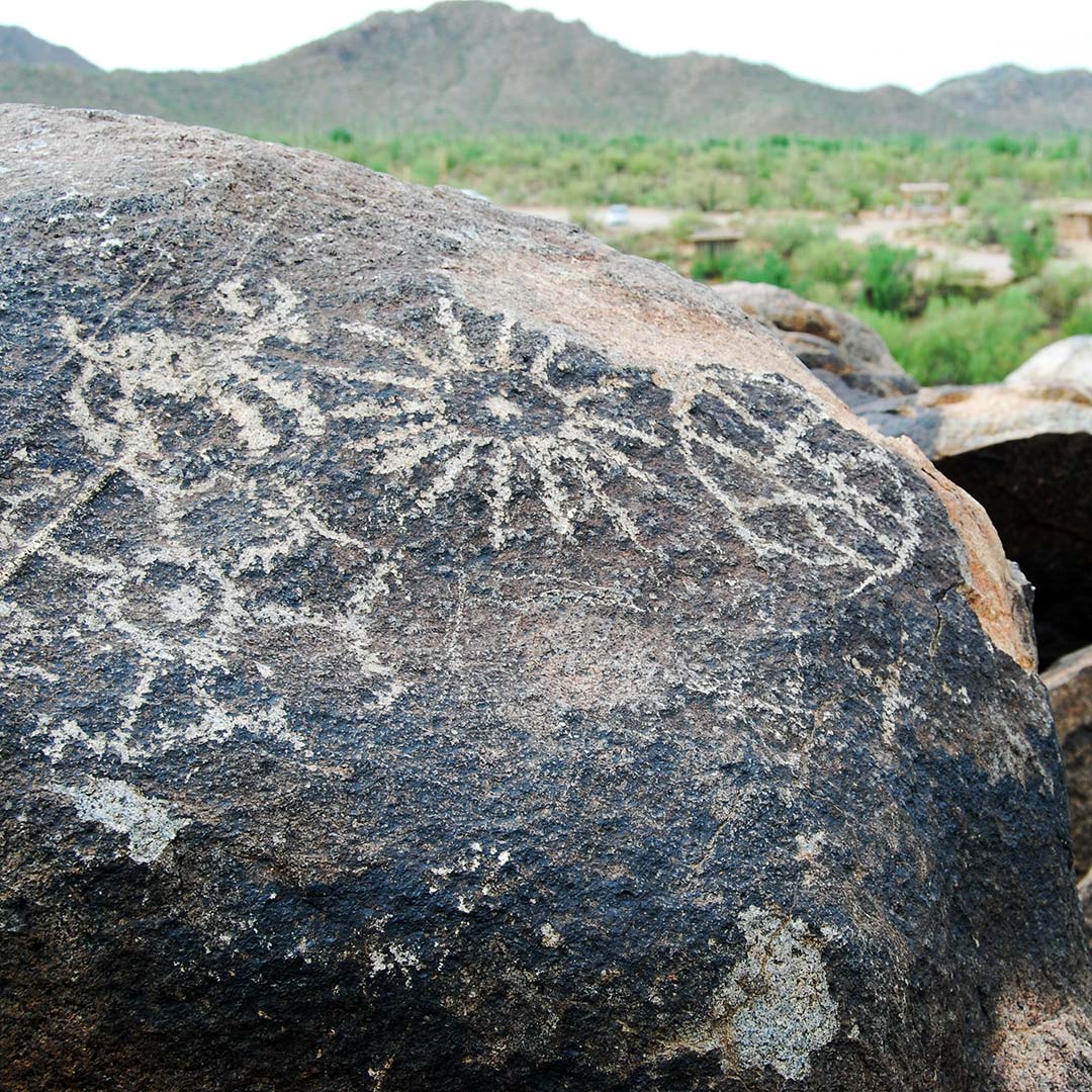 Petroglyphs in Saguaro National Park West. 