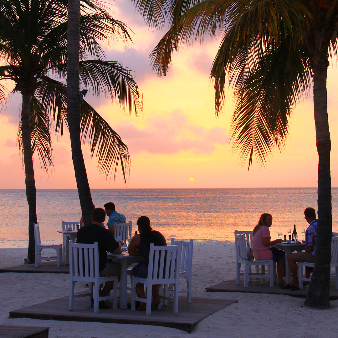 diners on the beach under palm trees at sunset