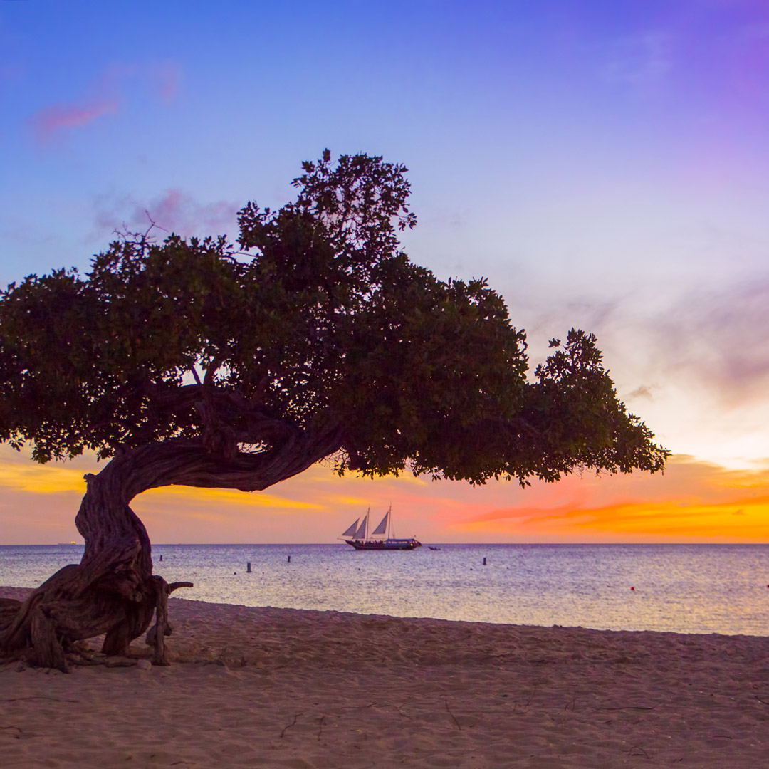 boat sailing in aruba with sunset