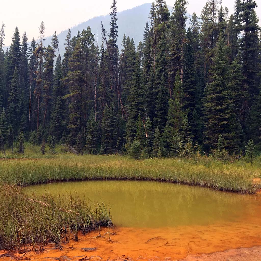 A small mineral pool in a grassy meadow with a rust-red bank.