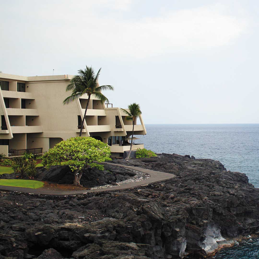 hotel with palm trees on volcanic rock by the ocean