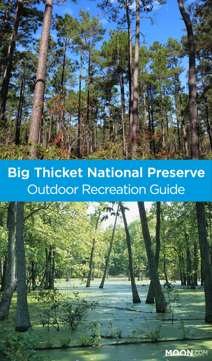 Big Thicket National Preserve, located in eastern Texas, is indeed woodsy, with pines, oaks, and swamplands dominating the landscape. Outdoor recreation activities include hiking, biking, paddling, wildlife viewing, and camping.