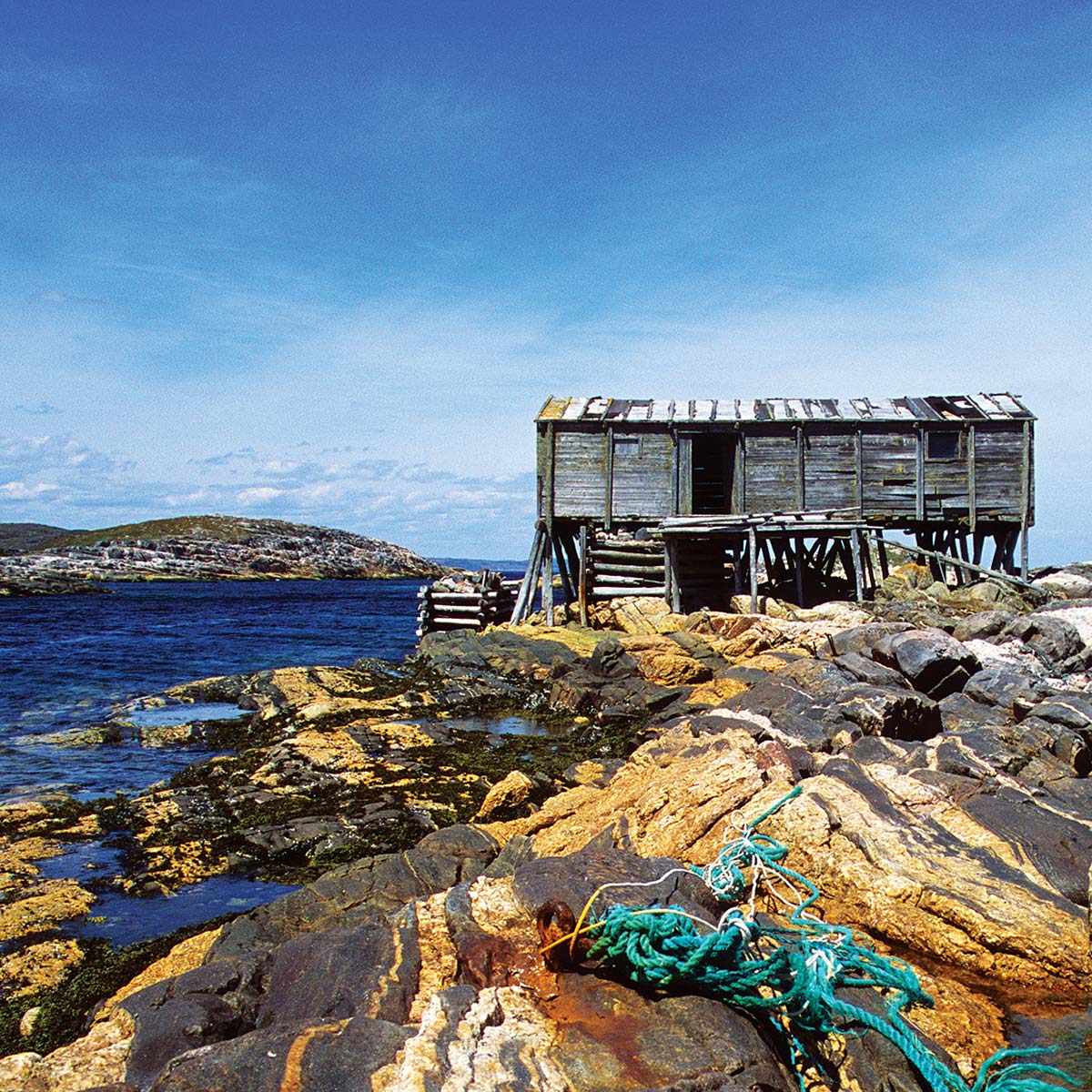 The rocky shore of Battle Harbour.