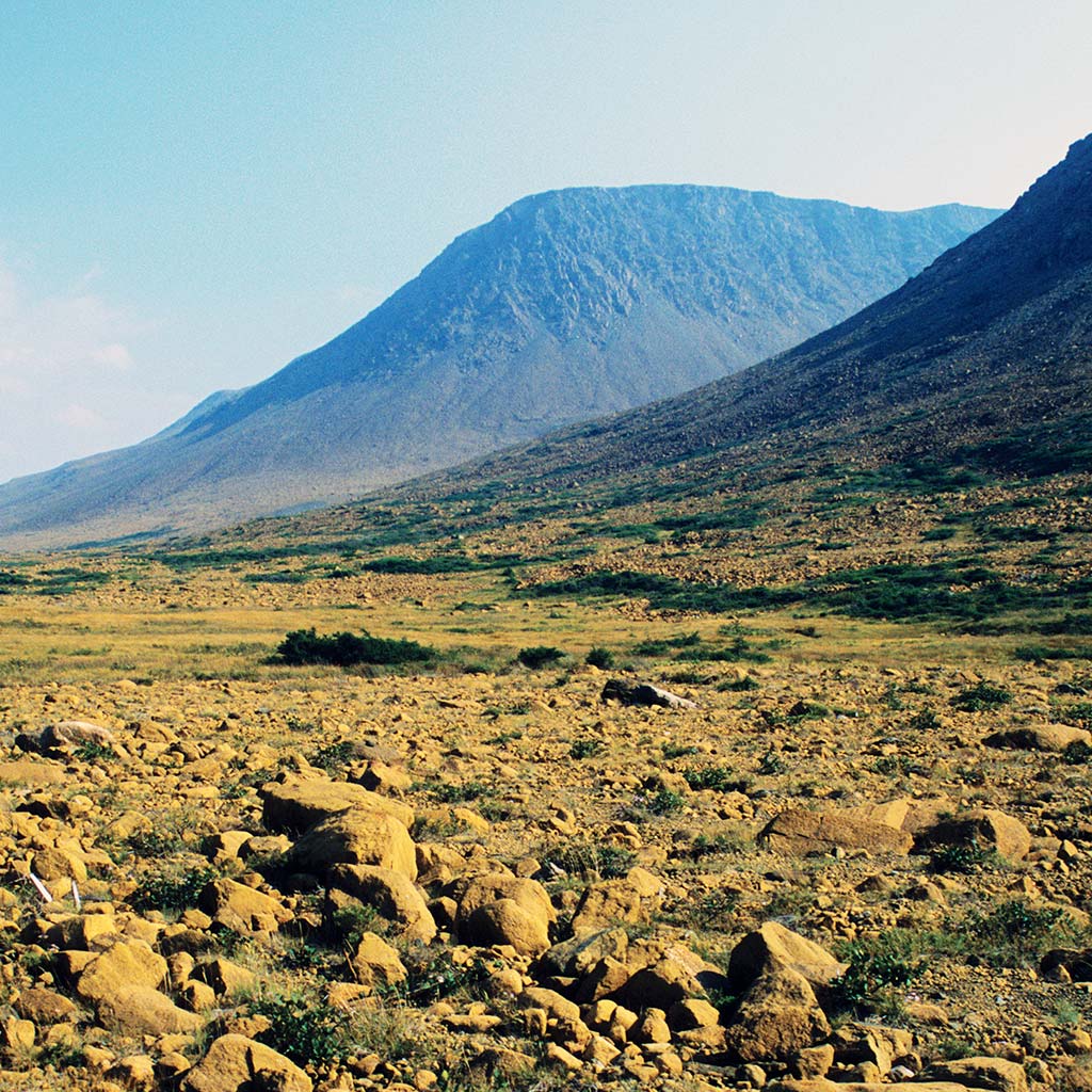 rocky and mountainous landscape in Newfoundland