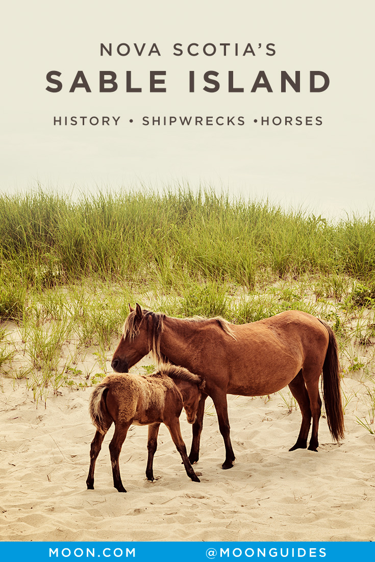Photo of a wild horse and foal on the sand with the text Nova Scotia's Sable Island - History, Shipwrecks, Horses