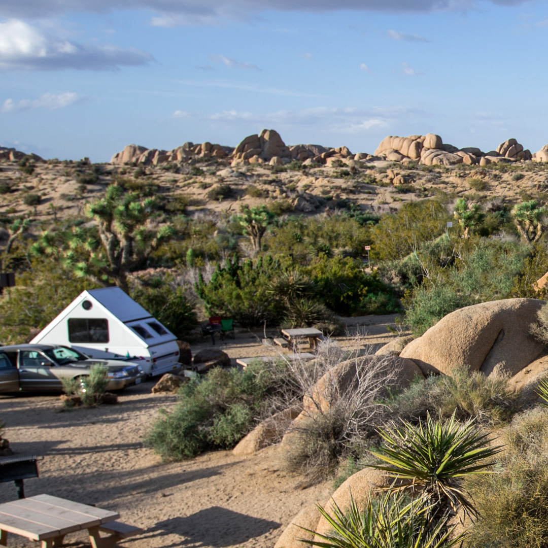camper and car at a campground in Joshua Tree National Park